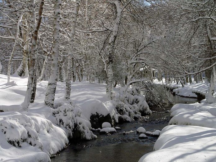 Neve na Serra da Estrela 11 véu branco da Serra da Estrela