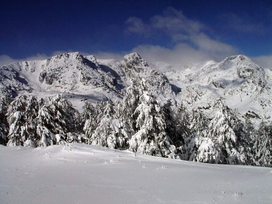 neve