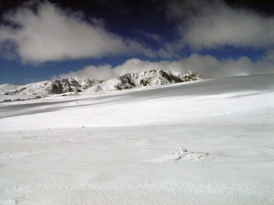 estrela