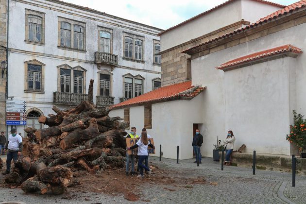 Madeiro