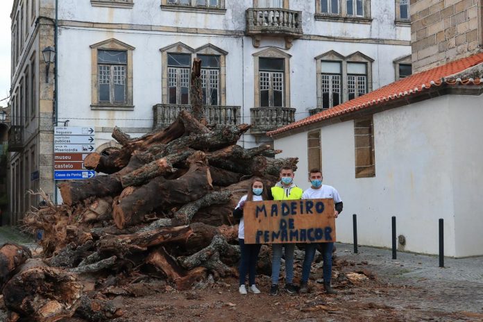 Penamacor Vila Madeiro Pandemia e tradição