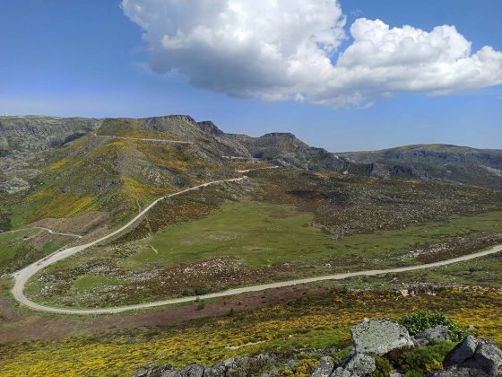 Estrela