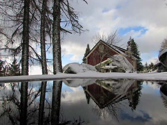 v&iacute;cio da Serra da Estrela neve