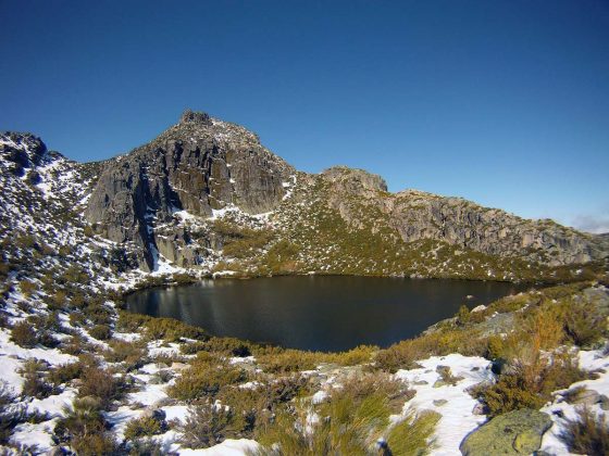 Estrela