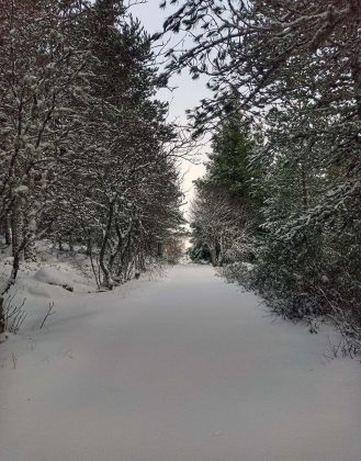 Serra da Estrela &Aacute;rtica