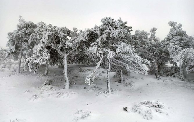 Neve Serra