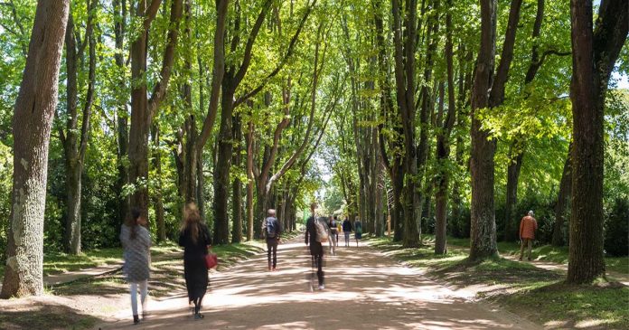 Serralves On Line Experience