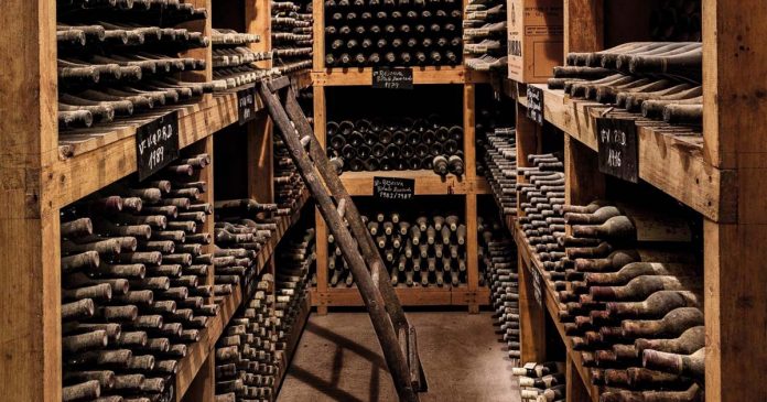 Alentejo s Alentejo formações para especialistas e amantes de vinho