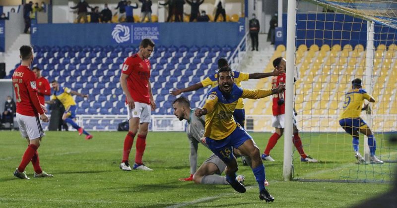 Estadio da Amoreira
