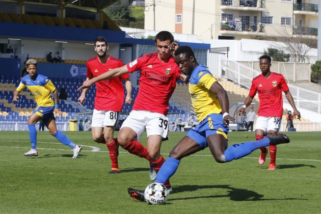Estoril vs Benfica