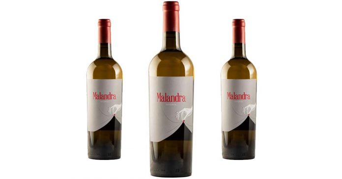 MALANDRA-BRANCO-2018-01_l s Malandra Reserva Branco 2018