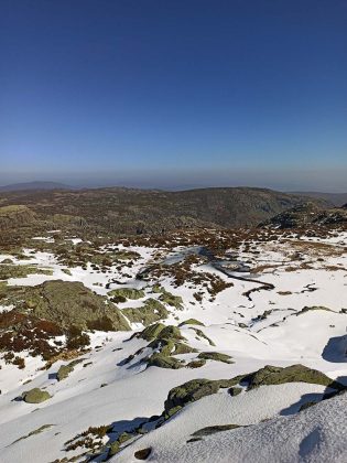Estrela