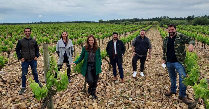 Conde Vimioso Sommelier Edition