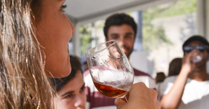 Vinhos a Descobrir quinta edição