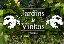 “Jardim de Vinhas” – Novo Percurso Pedestre alia enoturismo e turismo de natureza Jardim de Vinhas e Percurso Pedestre