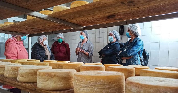 Cova da Beira - A quinta da saudade 1 quinta da saudade na Cova da Beira