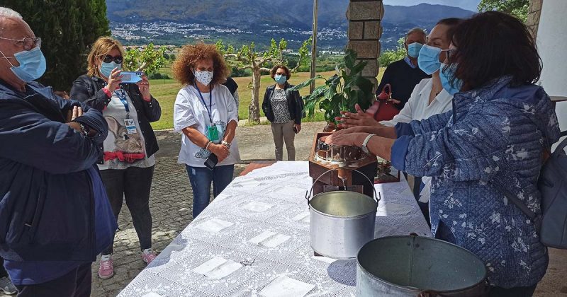 queijo da serra