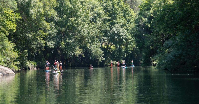 Cinf&atilde;es no Douro e Paiva