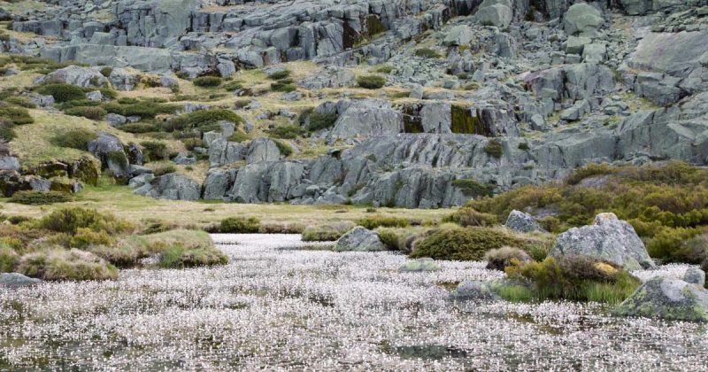 Serra da Estrela na primavera