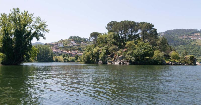 Cinf&atilde;es no Douro e Paiva