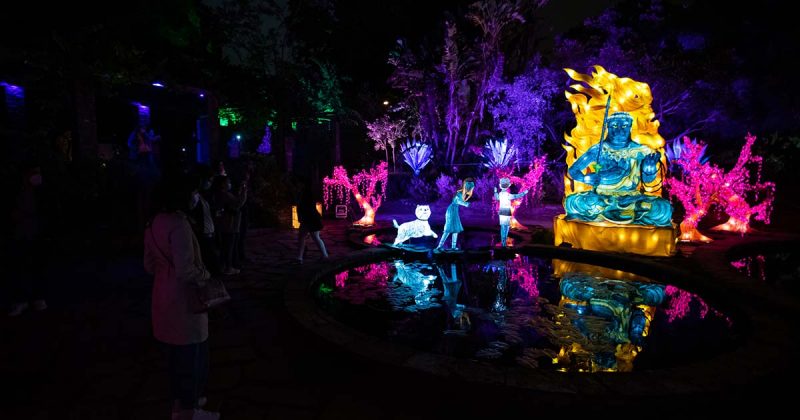 Jardim Bot&acirc;nico