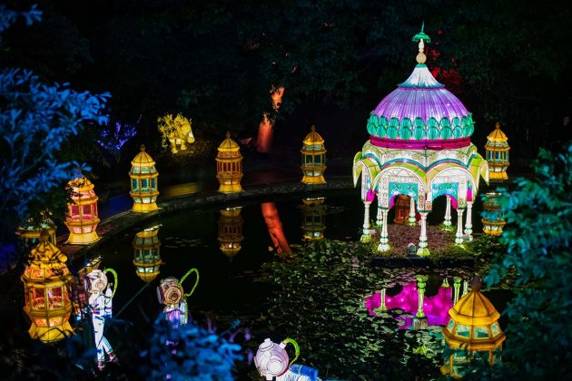 Magical Garden