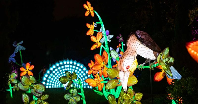 Magical Garden no Porto