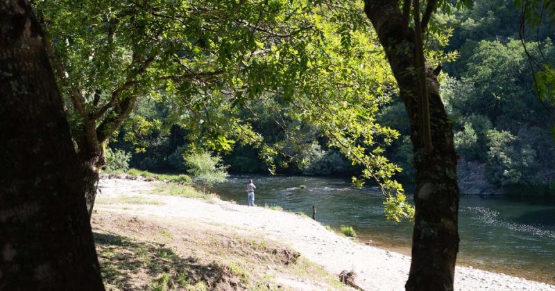 Cinf&atilde;es no Douro e Paiva