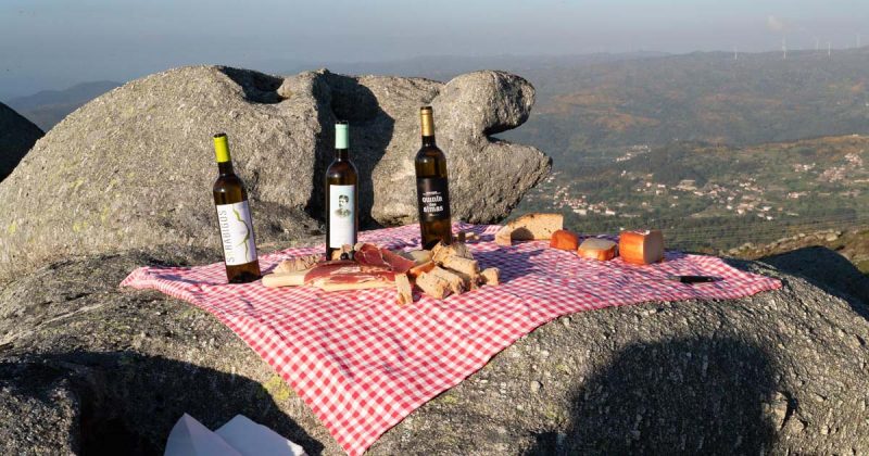 Cinf&atilde;es no Douro e Paiva