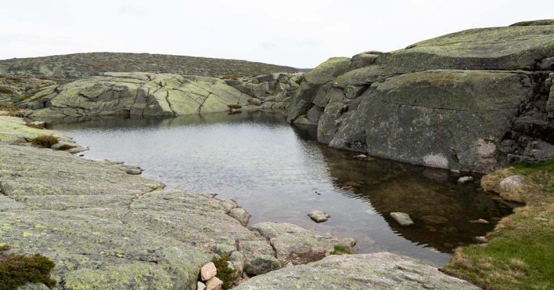 Salgadeiras