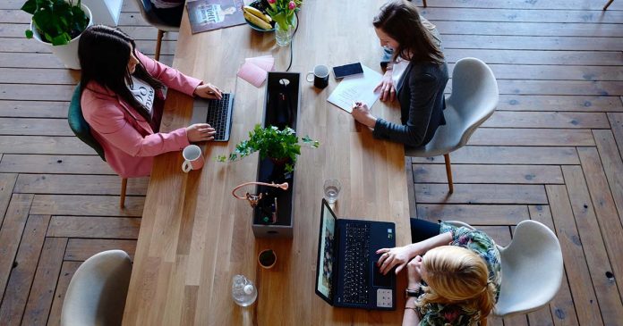 pexels-cowomen-2041627 s Empresas Gazela