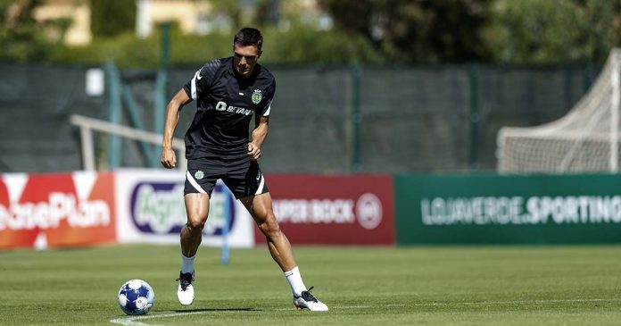 Palhinha 0JL14120 s Sporting com Portimonense em jogo de Pré-Época