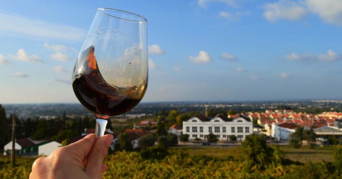 Quinta do Piloto