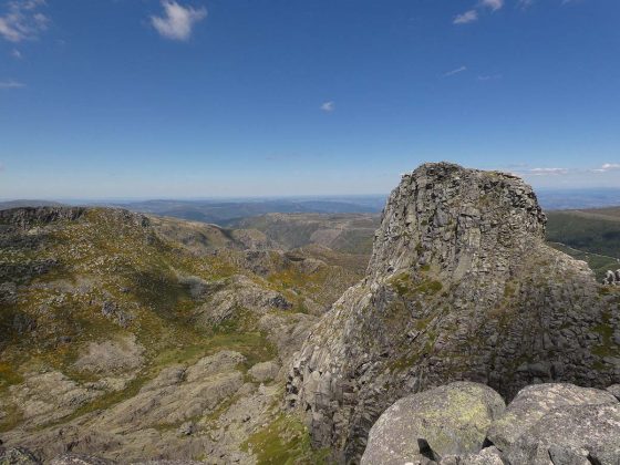 Estrela