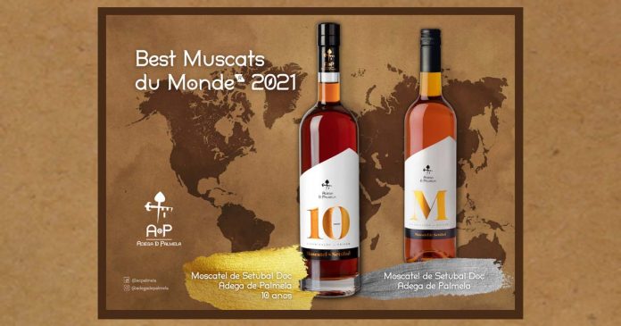 Moscatel de Setúbal da Adega de Palmela