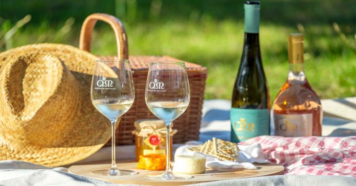 Vindimas nas Quintas de Melgaço
