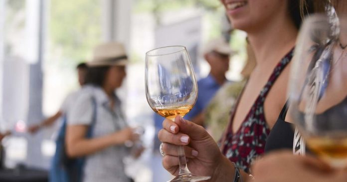 Vinhos a Descobrir 572 s Vinhos a Descobrir no Outono Wine Market
