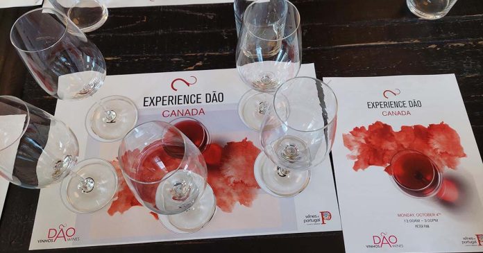 Dão Experience no Canadá