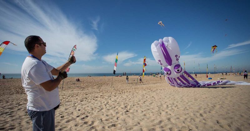 Papagaios na Praia de Carcavelos