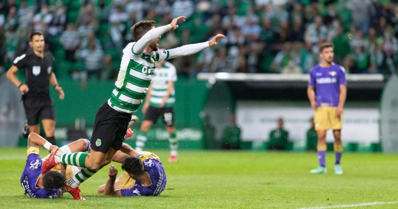 le&otilde;es