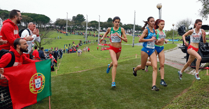 Taça dos Campeões Europeus de Cross F2A4665-s Taça dos Campeões Europeus de Crosse