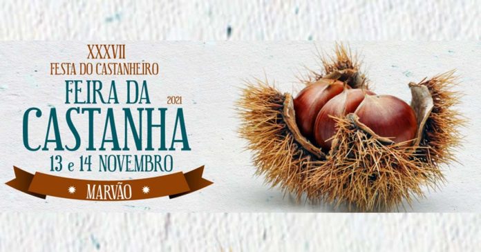 castanha em Marvão