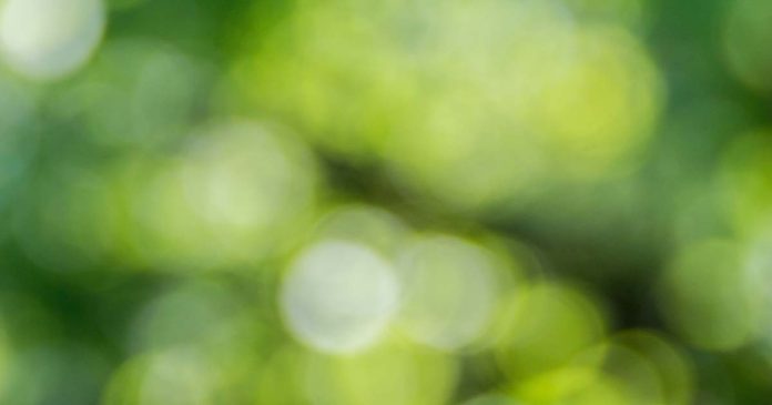 Combater o Greenwashing