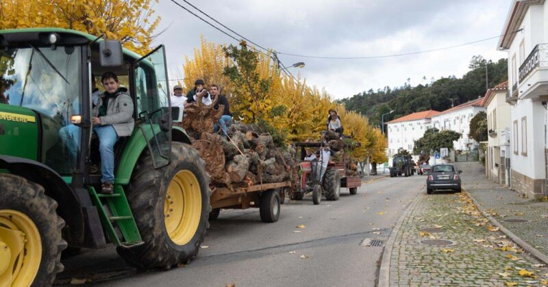 Vila Madeiro