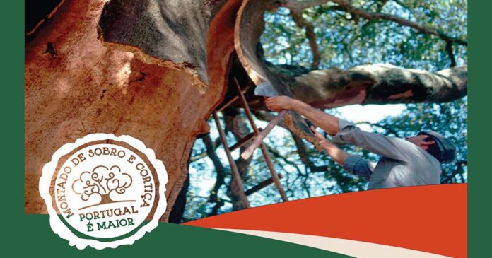 Tiragem da cortiça é Património Cultural Imaterial
