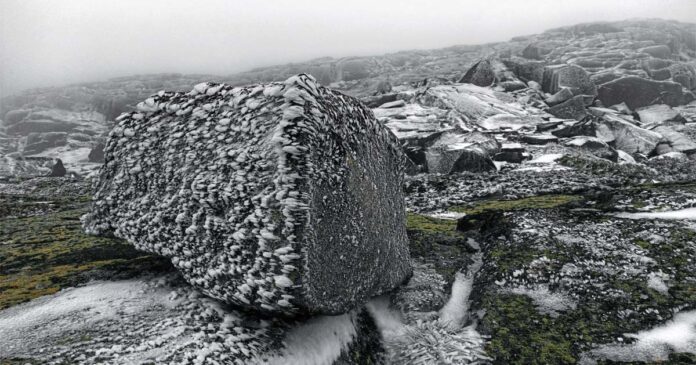 a neve chegou à Serra da Estrela