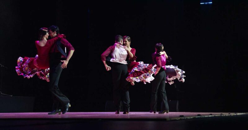 Pasi&oacute;n Flamenca