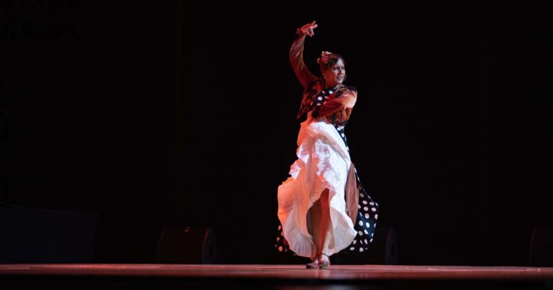 Pasi&oacute;n Flamenca