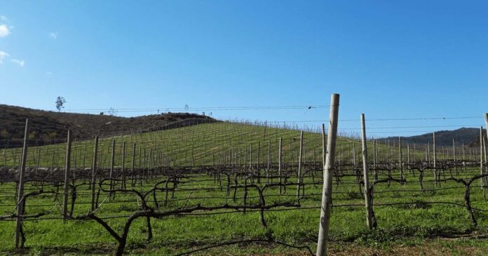 Quinta de Santa Cristina s Caminhada na Quinta de Santa Cristina