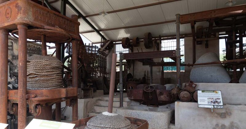 Museu da Oleosetin